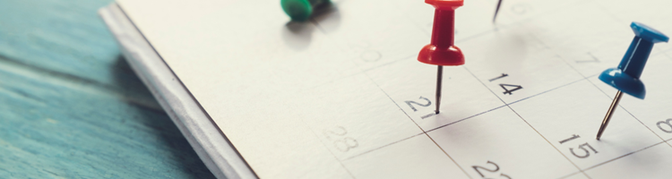 2026 Press Release Schedule